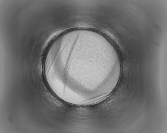 X0000111361408200908071144