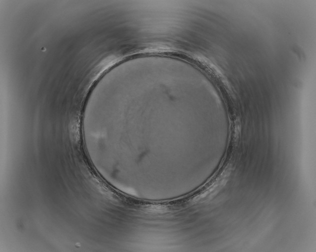 X0000111361409200908071144