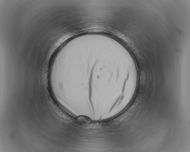 X0000111361410200908071144