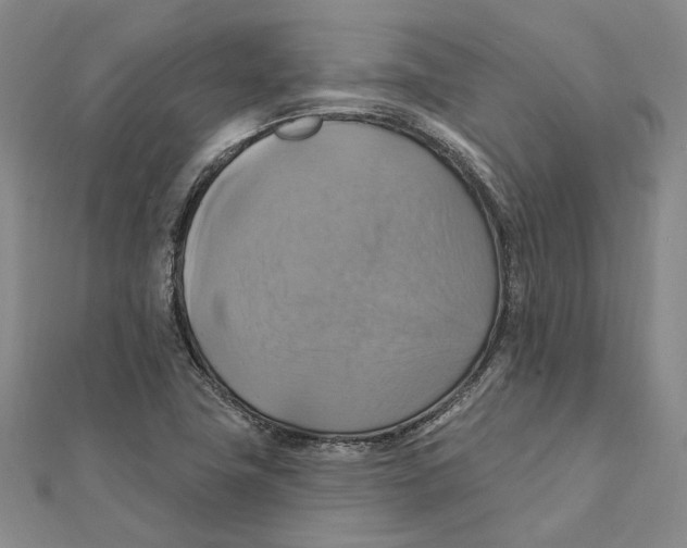 X0000111361411200908071144