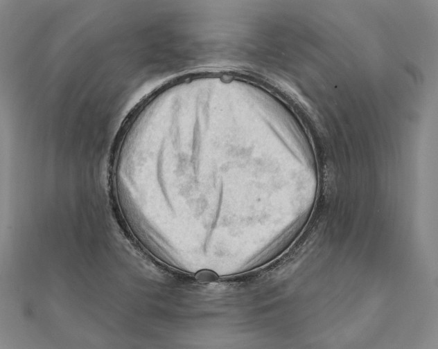 X0000111361412200908071144