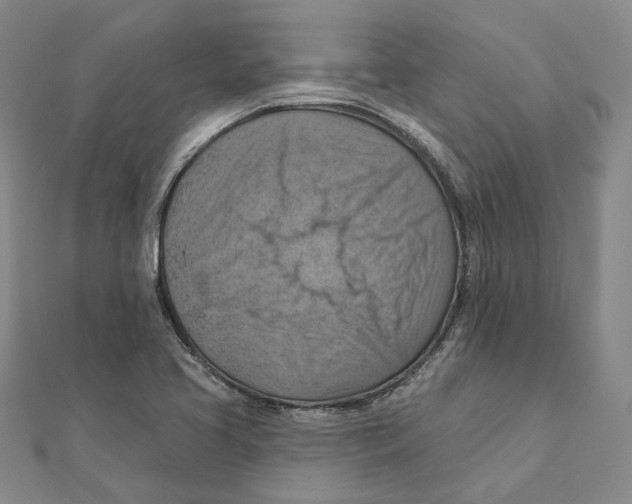 X0000111361413200908071144