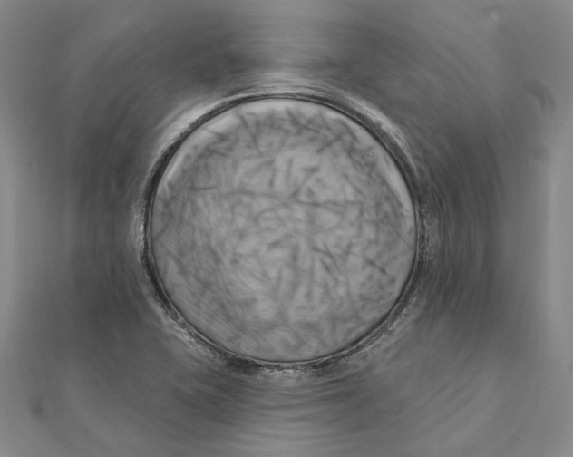 X0000111361415200908071144