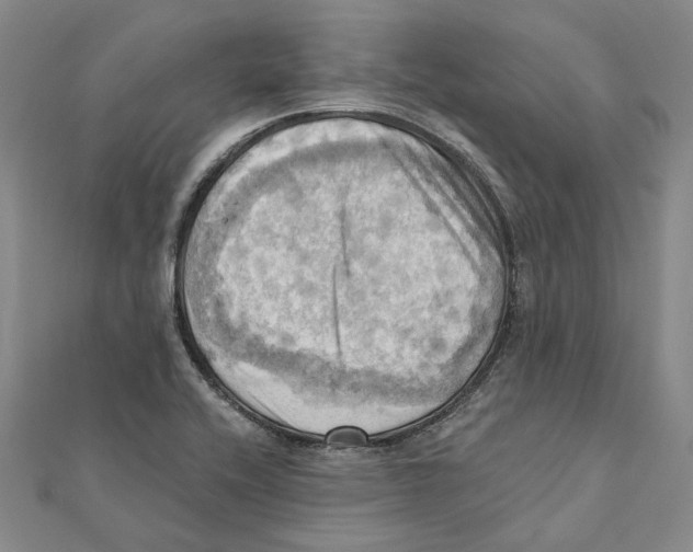 X0000111361416200908071144