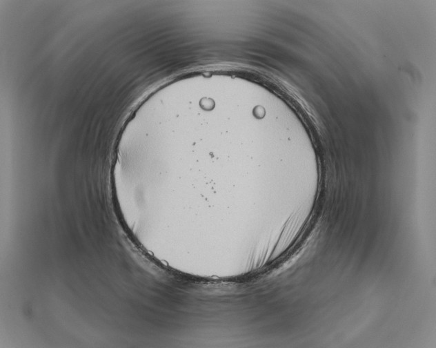 X0000111361417200908071144