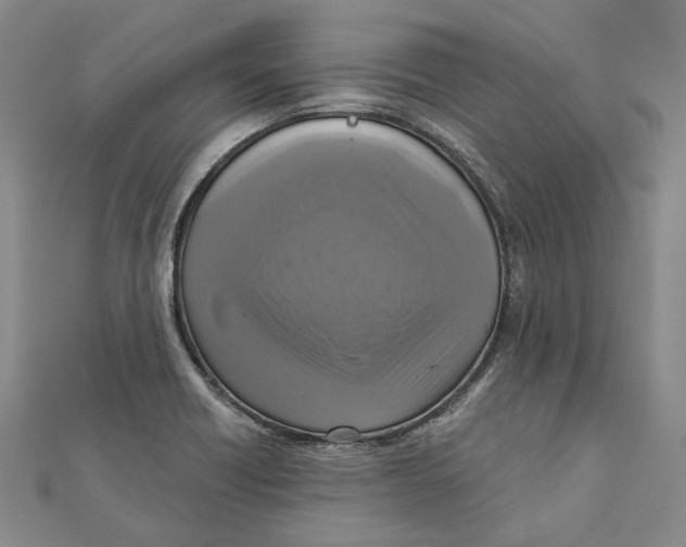 X0000111361418200908071144