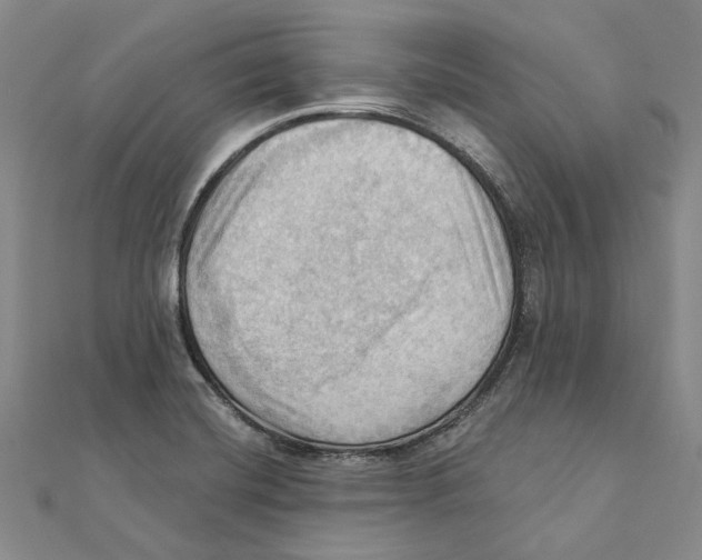 X0000111361420200908071144