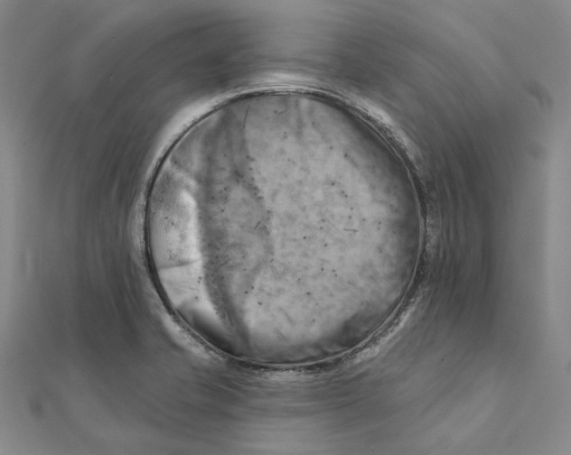 X0000111361421200908071144