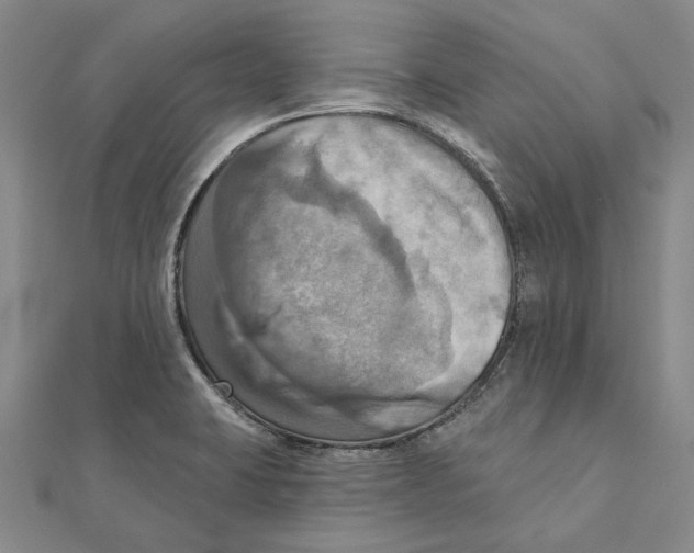 X0000111361423200908071144