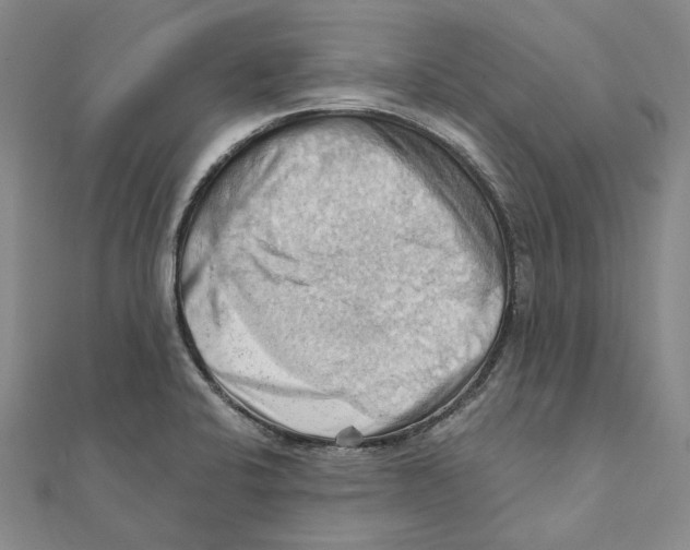 X0000111361424200908071144