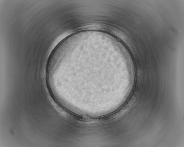 X0000111361426200908071144