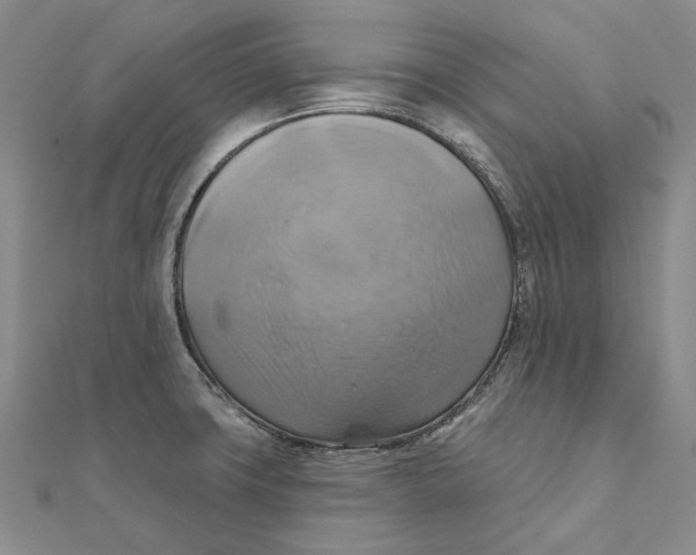 X0000111361427200908071144