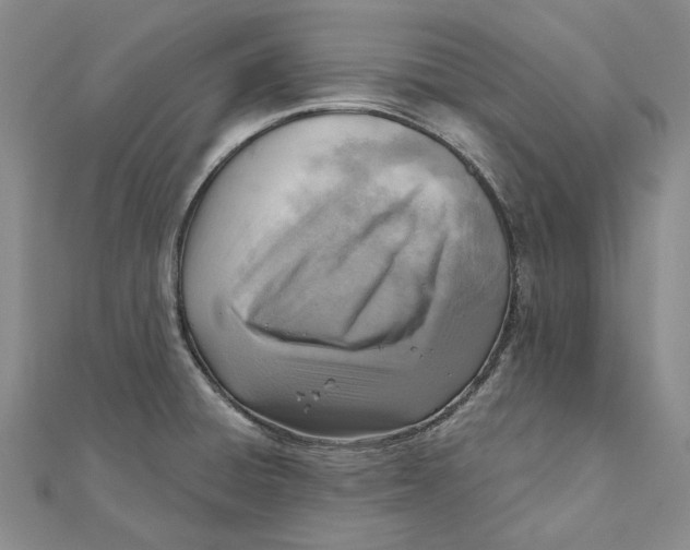 X0000111361428200908071144