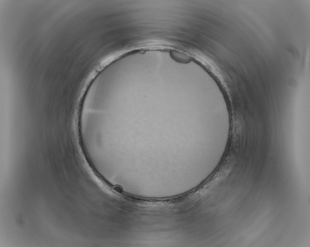 X0000111361429200908071144