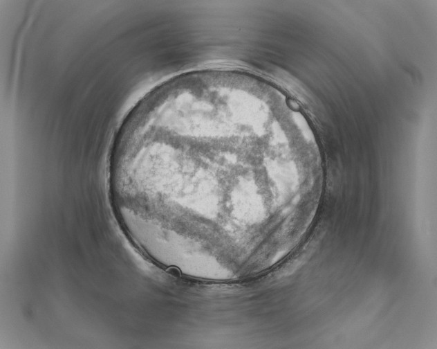 X0000111361430200908071144