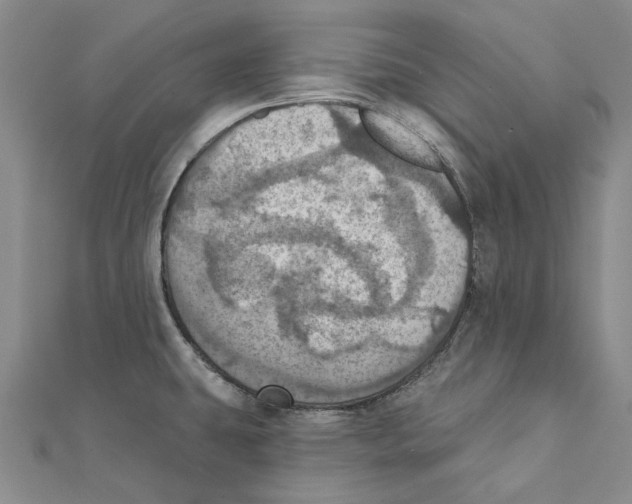 X0000111361431200908071144