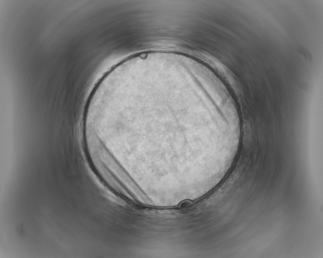 X0000111361432200908071144