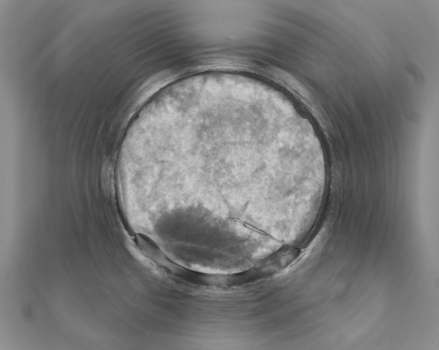 X0000111361433200908071144