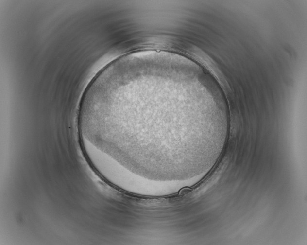 X0000111361434200908071144