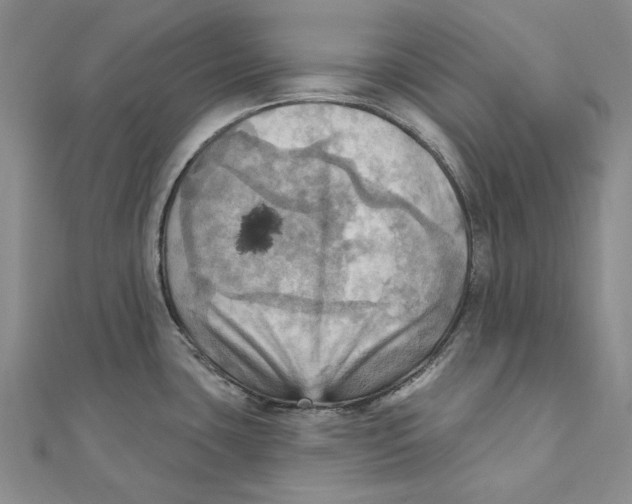 X0000111361435200908071144