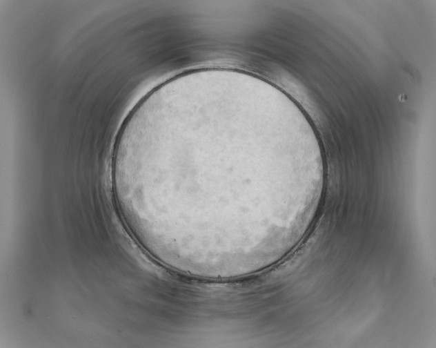 X0000111361436200908071144