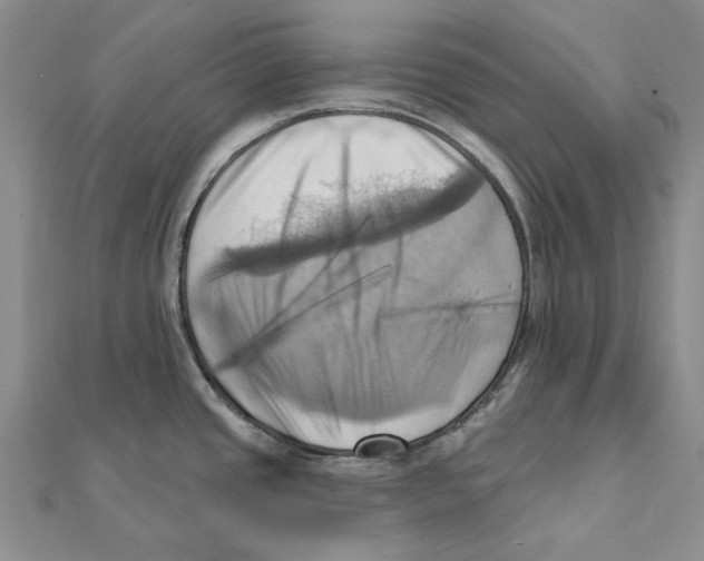 X0000111361437200908071144