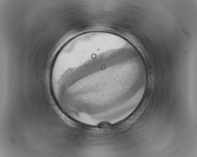 X0000111361438200908071144