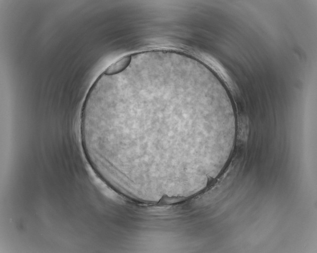 X0000111361439200908071144