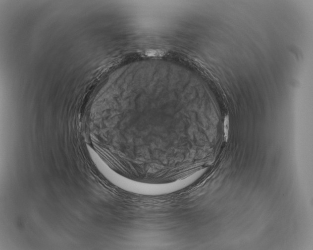 X0000111361443200908071143