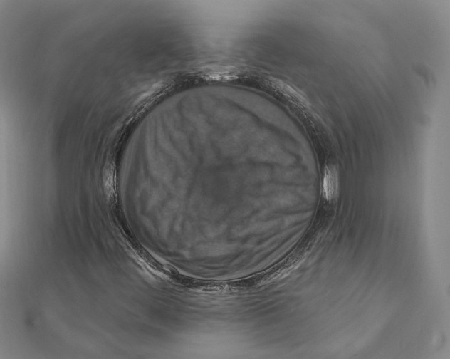 X0000111361444200908071143