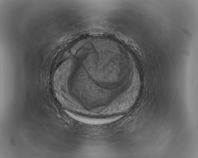 X0000111361445200908071143