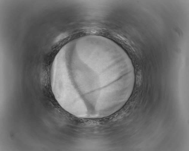 X0000111361446200908071143