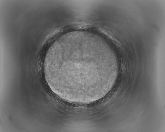 X0000111361447200908071143