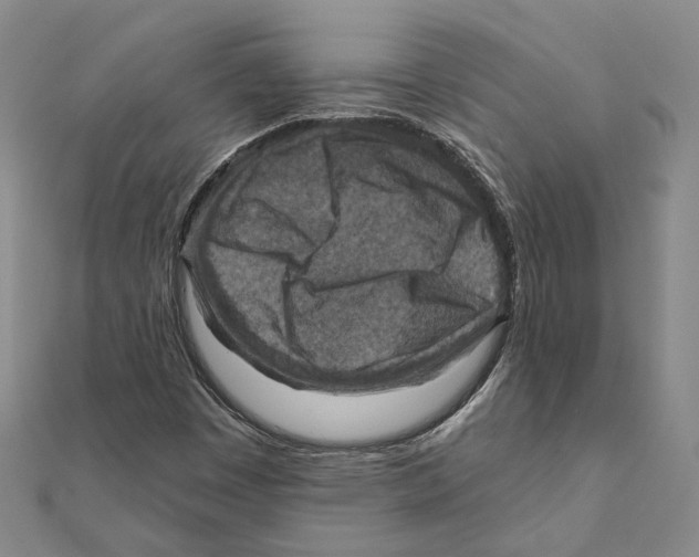 X0000111361449200908071143