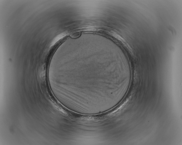 X0000111361450200908071143