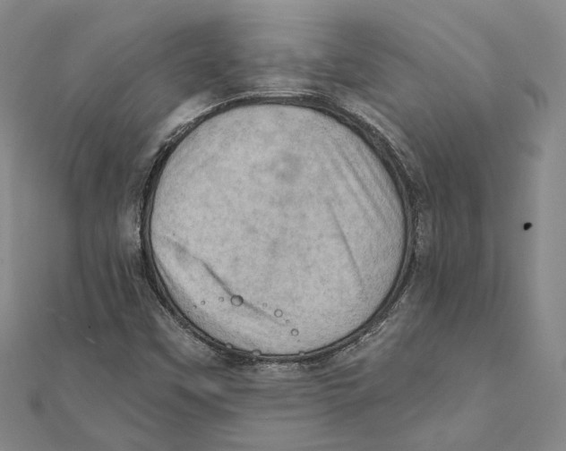 X0000111361451200908071143