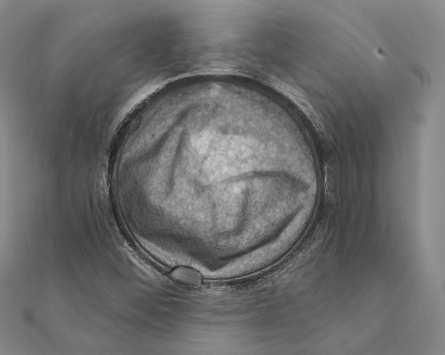 X0000111361452200908071143