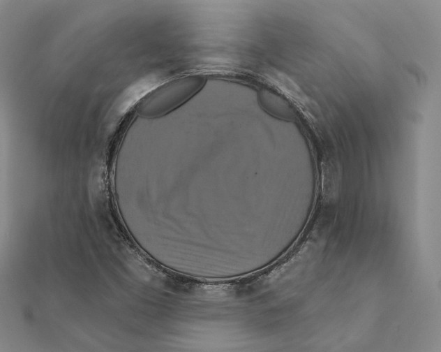 X0000111361453200908071143