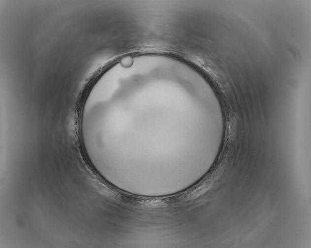 X0000111361454200908071143