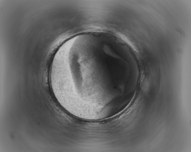 X0000111361455200908071143