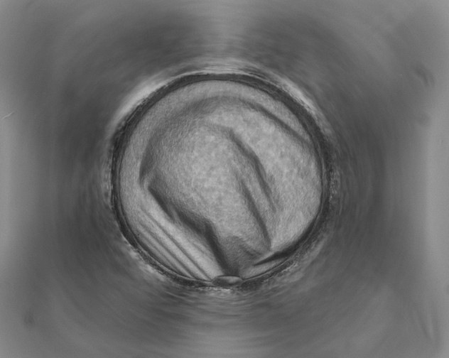 X0000111361456200908071143