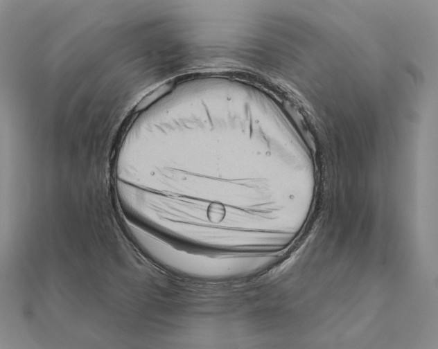 X0000111361457200908071143