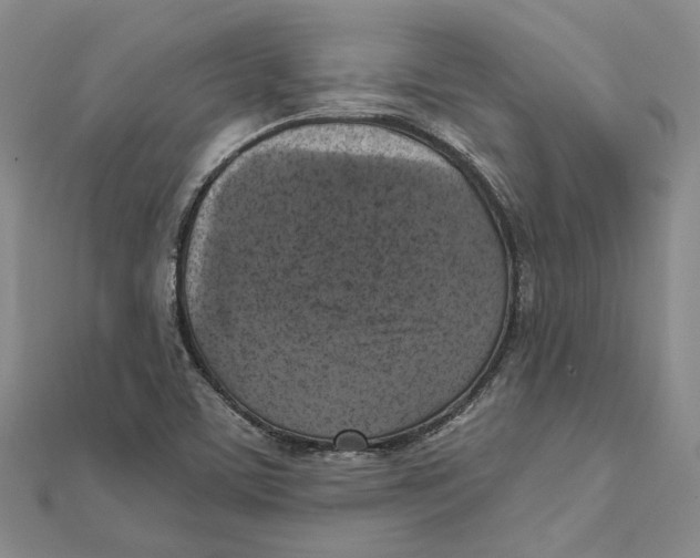 X0000111361459200908071143