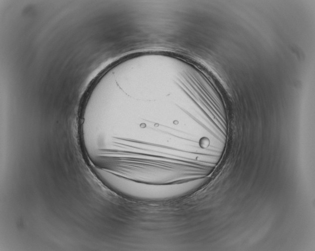 X0000111361460200908071143