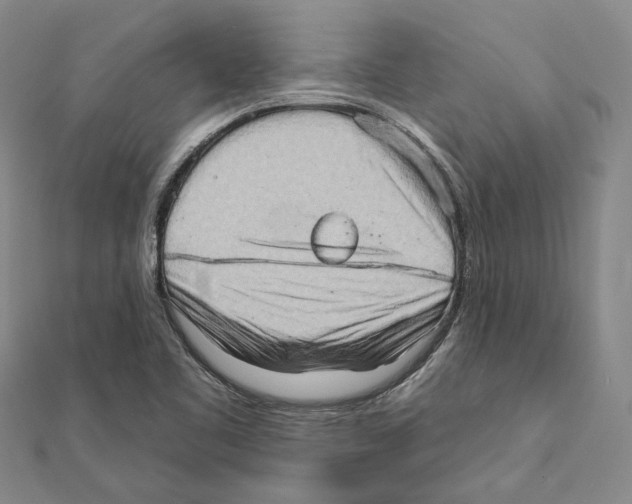 X0000111361461200908071143