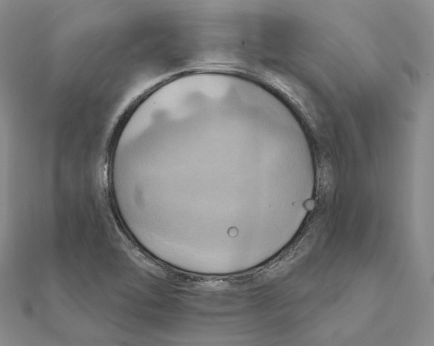 X0000111361462200908071143