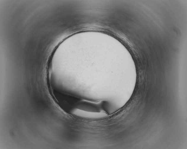 X0000111361463200908071143