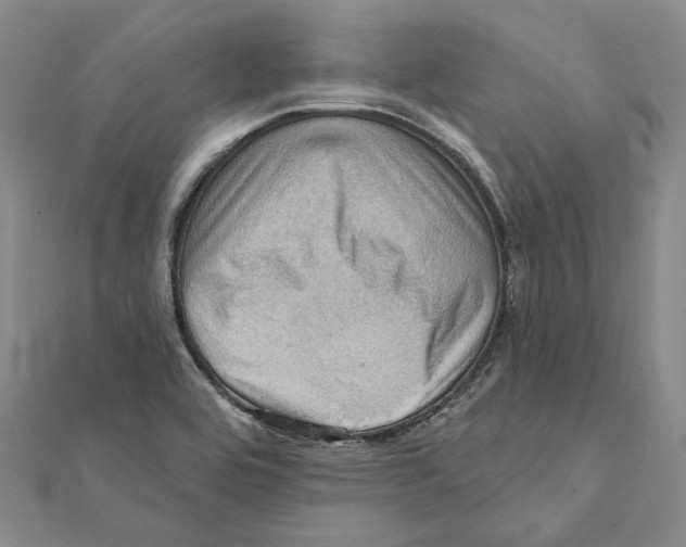 X0000111361464200908071143