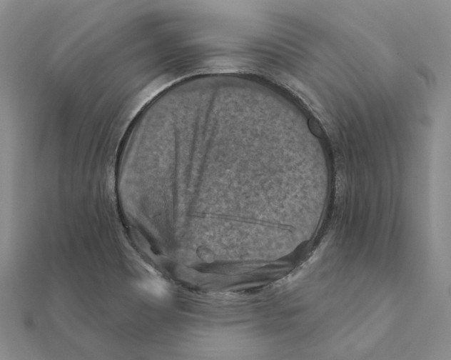 X0000111361465200908071143