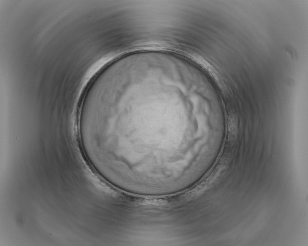 X0000111361466200908071143